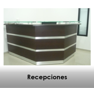 Recepciones